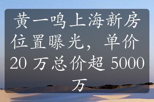 黃一鳴上海新房位置曝光，單價 20 萬總價超 5000 萬