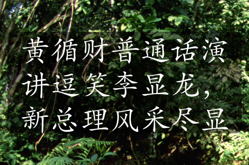黃循財普通話演講逗笑李顯龍，新總理風采盡顯