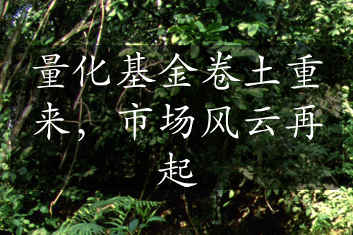 量化基金卷土重來，市場風云再起