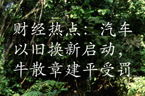 財(cái)經(jīng)熱點(diǎn)：汽車以舊換新啟動(dòng)，牛散章建平受罰