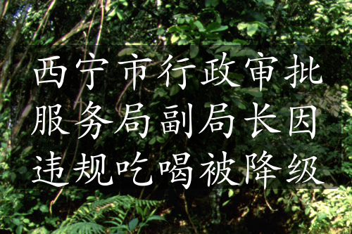 西寧市行政審批服務(wù)局副局長(zhǎng)因違規(guī)吃喝被降級(jí)