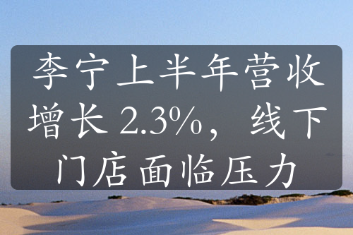 李寧上半年?duì)I收增長(zhǎng) 2.3%，線下門店面臨壓力