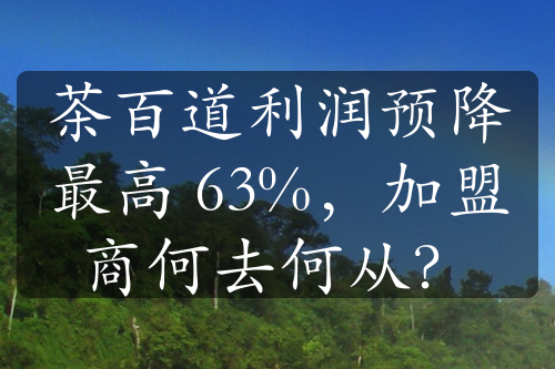 茶百道利潤預(yù)降最高 63%，加盟商何去何從？