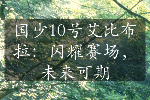 國(guó)少10號(hào)艾比布拉：閃耀賽場(chǎng)，未來(lái)可期