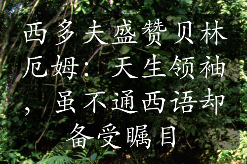西多夫盛贊貝林厄姆：天生領(lǐng)袖，雖不通西語(yǔ)卻備受矚目