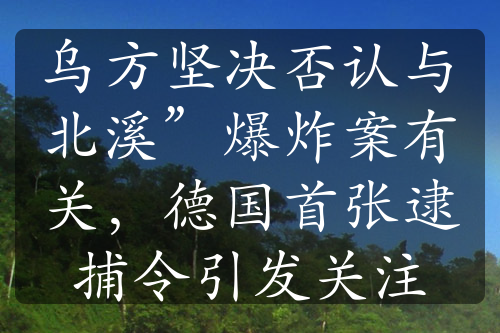 烏方堅(jiān)決否認(rèn)與北溪”爆炸案有關(guān)，德國首張逮捕令引發(fā)關(guān)注