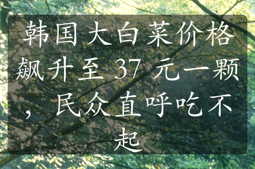 韓國大白菜價(jià)格飆升至 37 元一顆，民眾直呼吃不起