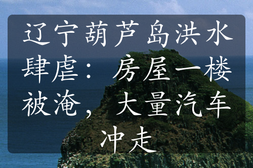 遼寧葫蘆島洪水肆虐：房屋一樓被淹，大量汽車沖走