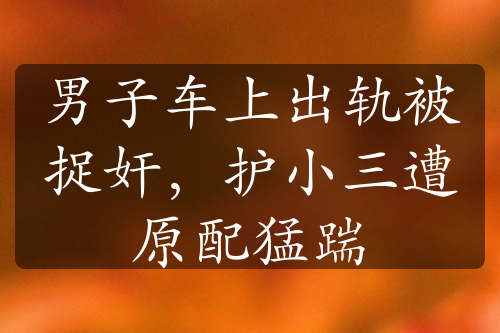 男子車上出軌被捉奸，護(hù)小三遭原配猛踹