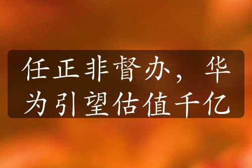 任正非督辦，華為引望估值千億