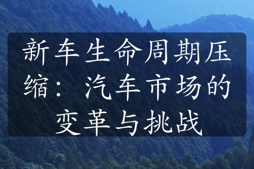 新車生命周期壓縮：汽車市場(chǎng)的變革與挑戰(zhàn)