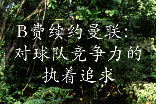 B費續(xù)約曼聯：對球隊競爭力的執(zhí)著追求