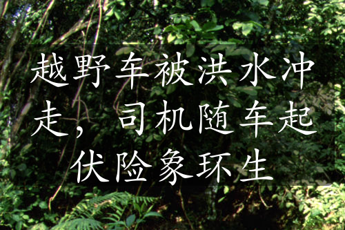 越野車被洪水沖走，司機隨車起伏險象環(huán)生