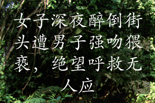 女子深夜醉倒街頭遭男子強(qiáng)吻猥褻，絕望呼救無(wú)人應(yīng)