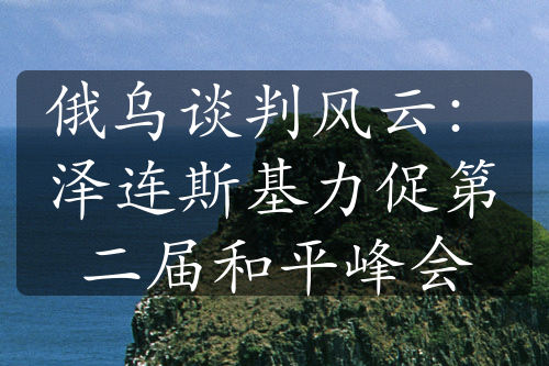俄烏談判風(fēng)云：澤連斯基力促第二屆和平峰會(huì)