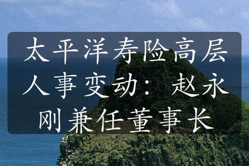 太平洋壽險(xiǎn)高層人事變動(dòng)：趙永剛兼任董事長(zhǎng)