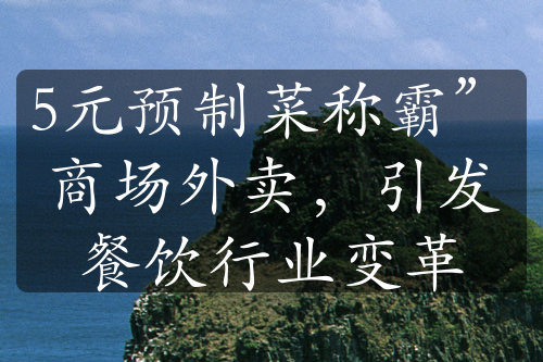 5元預(yù)制菜稱霸”商場外賣，引發(fā)餐飲行業(yè)變革