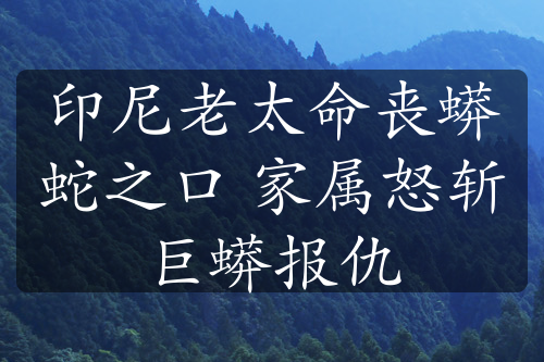 印尼老太命喪蟒蛇之口 家屬怒斬巨蟒報仇