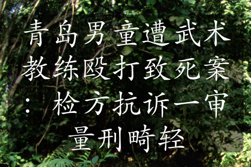 青島男童遭武術(shù)教練毆打致死案：檢方抗訴一審量刑畸輕
