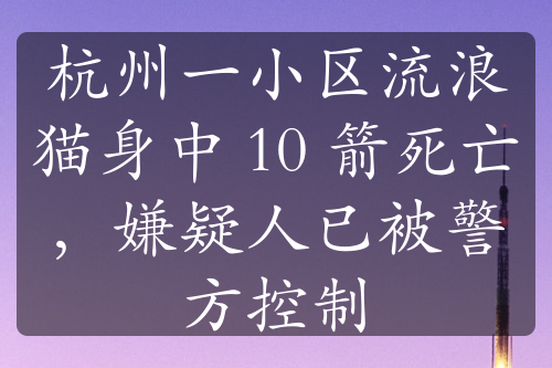 杭州一小區(qū)流浪貓身中 10 箭死亡，嫌疑人已被警方控制