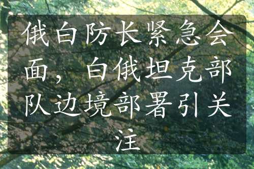 俄白防長緊急會面，白俄坦克部隊邊境部署引關(guān)注