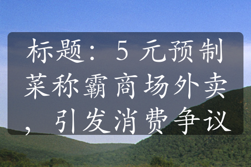 標(biāo)題：5 元預(yù)制菜稱霸商場外賣，引發(fā)消費(fèi)爭議