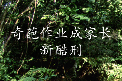 奇葩作業(yè)成家長(zhǎng)新酷刑