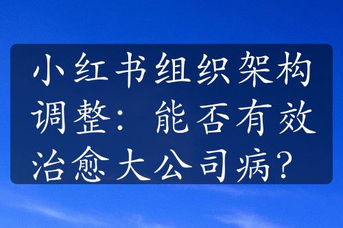 小紅書組織架構(gòu)調(diào)整：能否有效治愈大公司病？