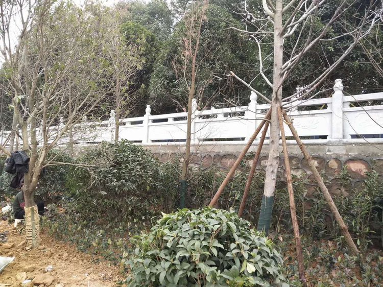 來電科技創(chuàng)始人袁冰松失聯(lián)風(fēng)波：本人發(fā)聲憑心做事，天必佑之”
