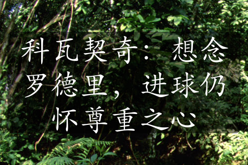 科瓦契奇：想念羅德里，進(jìn)球仍懷尊重之心