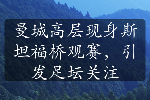 曼城高層現(xiàn)身斯坦福橋觀賽，引發(fā)足壇關(guān)注