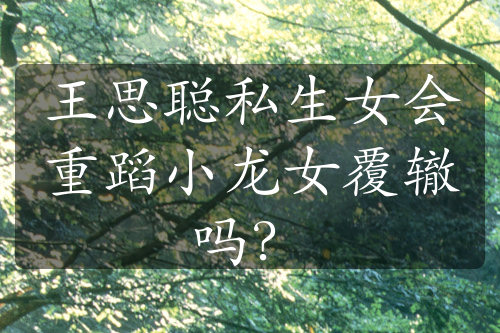 王思聰私生女會重蹈小龍女覆轍嗎？