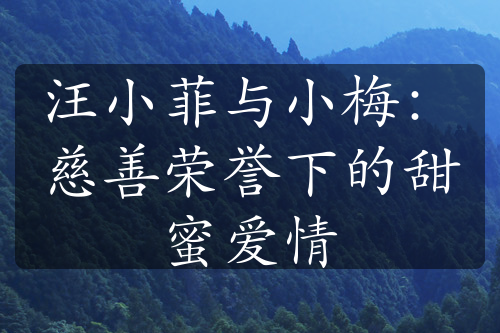 汪小菲與小梅：慈善榮譽(yù)下的甜蜜愛(ài)情