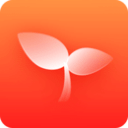 柯尼塞格標志