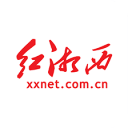 大象科技