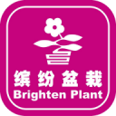 方外觀