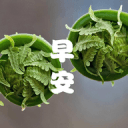 好玩網(wǎng)
