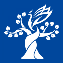 黃金貓