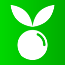 公司考勤