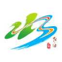 坂井泉水死因