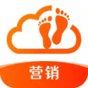 絲瓜炒魷魚