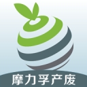 霍濤