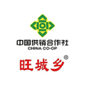 后腦