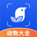 中國男籃后衛(wèi)