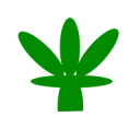 訾